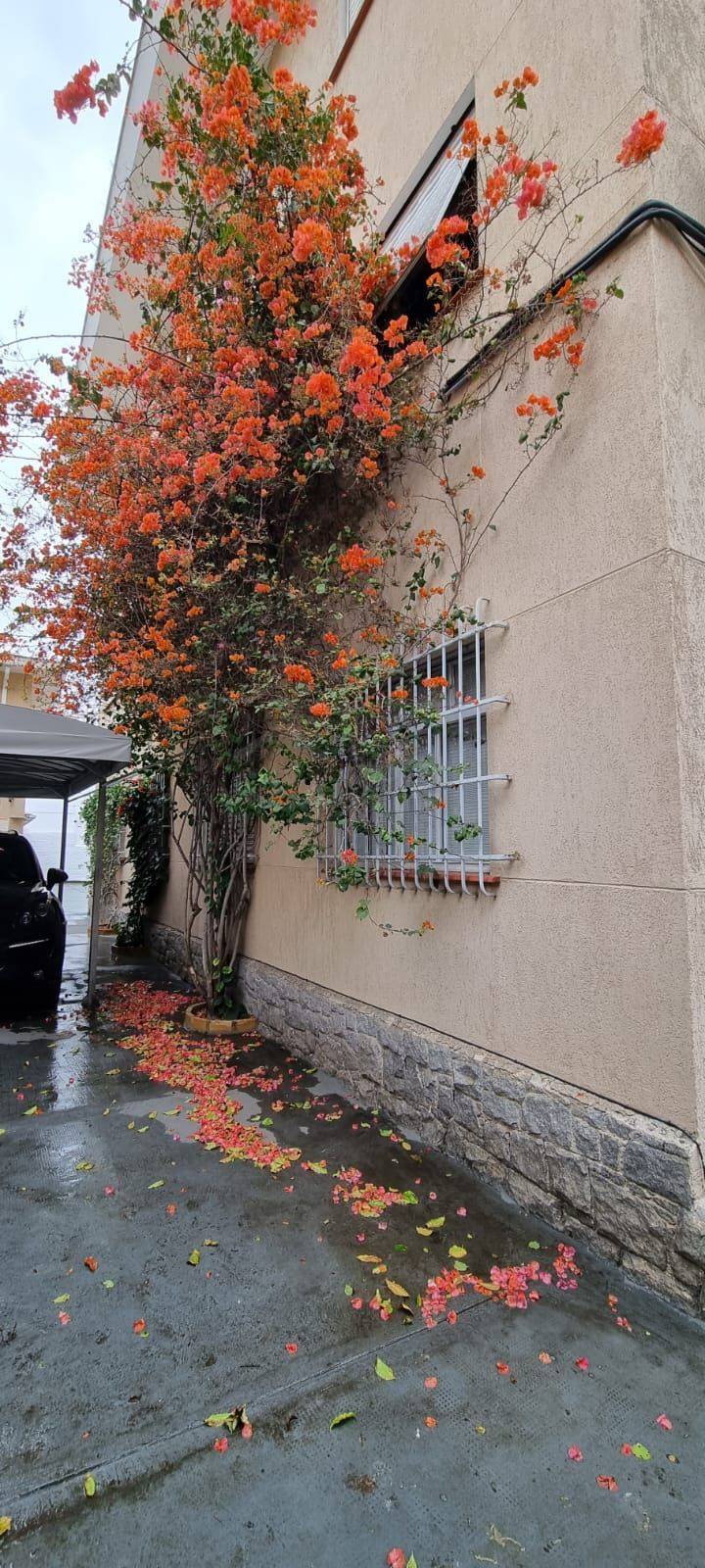 Apartamento, 3 quartos, 120 m² - Foto 18